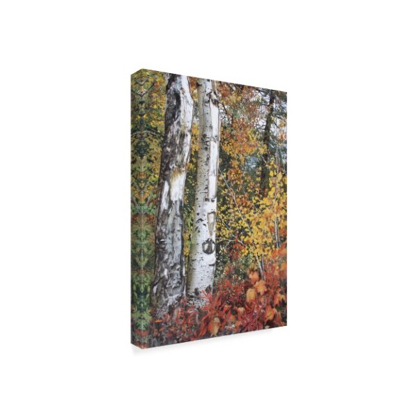 Carol J Rupp 'Aspen Duo' Canvas Art,16x24